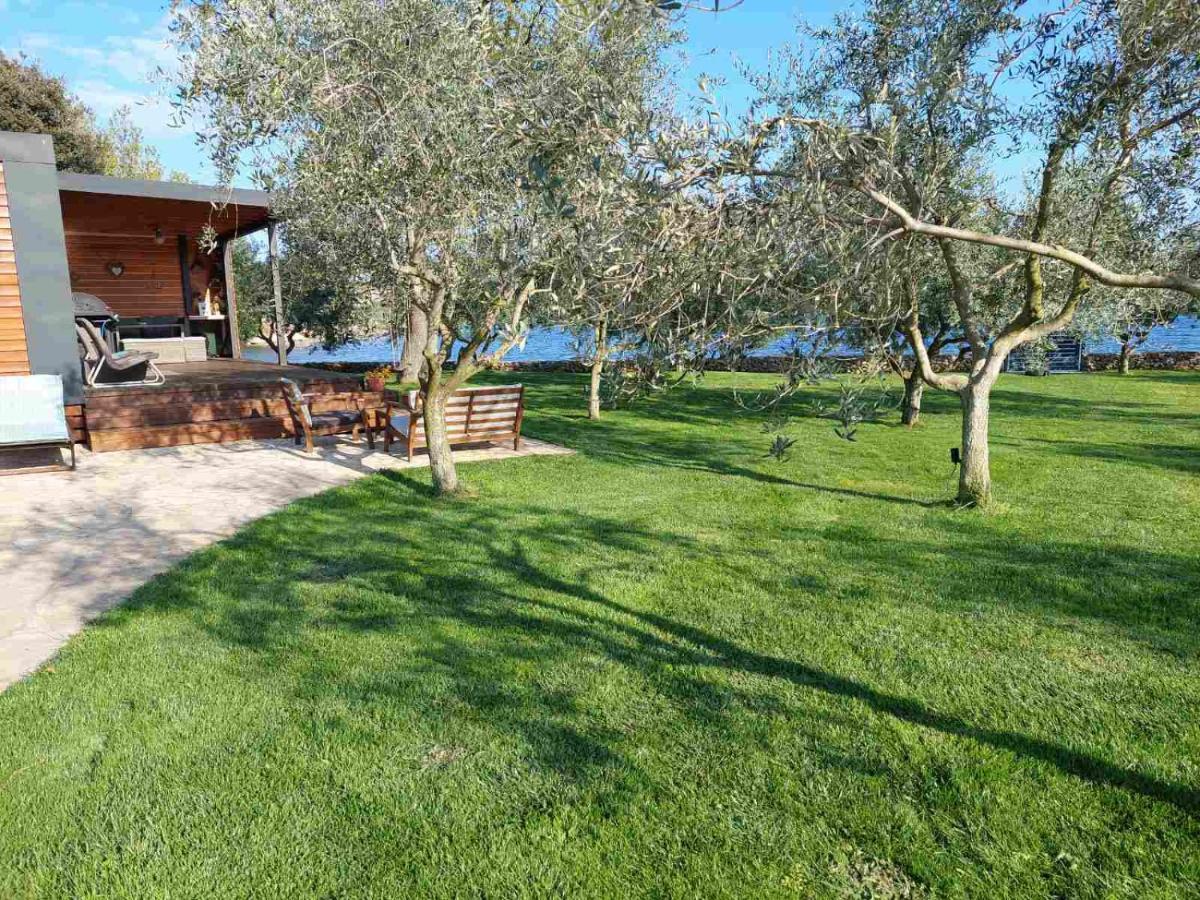 Beach House Ive With Jacuzzi, Pool, Playground And Bbq In An Olive Grove With A Beach, Pomer - Istria Esterno foto